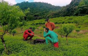 稻草人制作