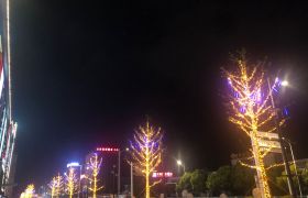 树木亮化，树木彩灯亮化，贵阳特装制作公司